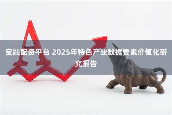 宝融配资平台 2025年特色产业数据要素价值化研究报告