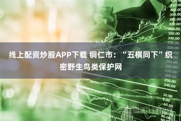 线上配资炒股APP下载 铜仁市：“五棋同下”织密野生鸟类保护网