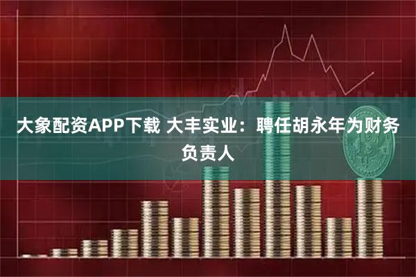 大象配资APP下载 大丰实业：聘任胡永年为财务负责人
