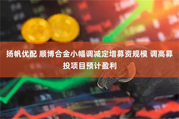 扬帆优配 顺博合金小幅调减定增募资规模 调高募投项目预计盈利