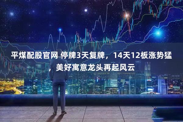 平煤配股官网 停牌3天复牌，14天12板涨势猛，美好寓意龙头再起风云